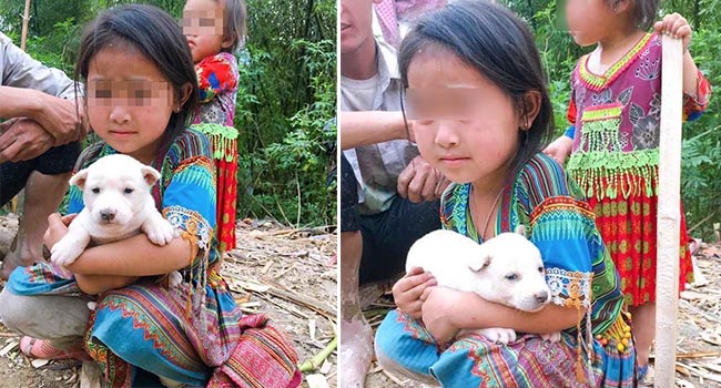 Bố mẹ bán chó khi hết tiền vì dịch, cô bé đuổi theo nhất quyết níu lại: Chú đừng bắt con chó này của cháu, cháu không bán đâu