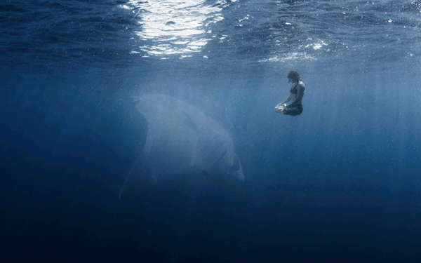 Hội chứng sợ là gì ? Các hội chứng sợ nào đang tồn tại trên thế giới ?