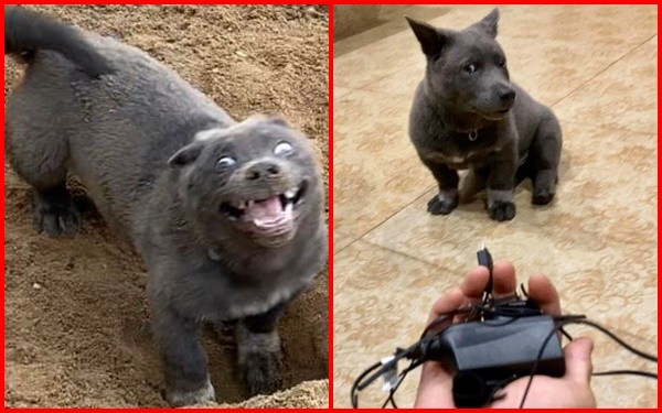 Idol Nguyễn Văn Dúi trưng bộ mặt "nghiêm túc" sau màn phá hoại như thể: "Tôi không liên quan"