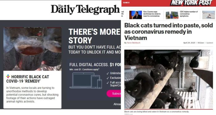 Báo phương Tây tung tin giả Việt Nam ăn mèo đen để chữa Covid