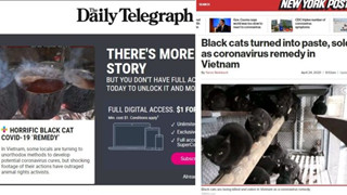 Báo phương Tây tung tin giả Việt Nam ăn mèo đen để chữa Covid
