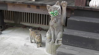 Ngôi đền đặc biệt ở Nhật Bản được mệnh danh là "Đền Mèo", trụ trì tự tay làm khẩu trang cho hàng trăm chú mèo gỗ từ tã lót trẻ em