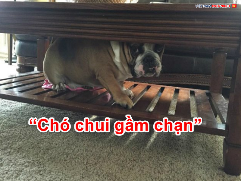 Chạn Vương là ai ? Vì sao lại gọi là Chạn Vương