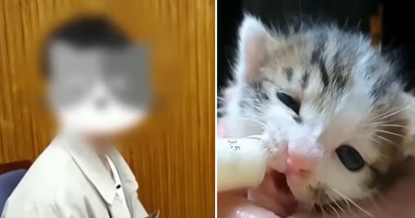 Youtuber nổi tiếng xứ Hàn bị tố bỏ đói, hành hạ động vật tàn nhẫn để câu view khiến cộng đồng mạng phẫn nộ