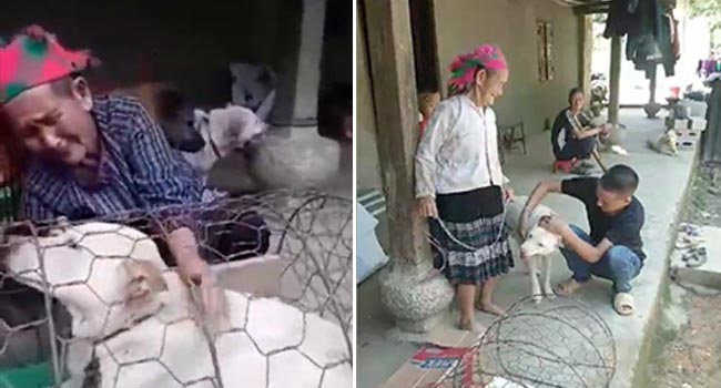 Bà cụ vùng cao khóc nức nở khi bán chó vì không có tiền, người hảo tâm đã giúp bà đoàn tụ lại chú chó: Bà sẽ không bán nó nữa đâu
