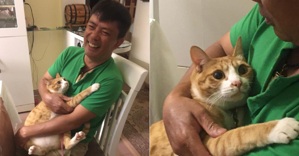 Biểu cảm đầy cảnh giác của boss khi lần đầu tiên được bố sen cưng nựng gây sốt MXH, thì ra lũ mèo có rất nhiều chiêu để lấy lòng phụ huynh!