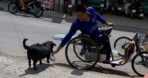 CLIP: “Rụng tim” với chú chó xoáy Phú Quốc thay chủ tật nguyền xếp hàng nhận gạo