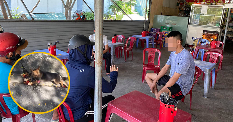 Chú chó chết thương tâm ở Đà Nẵng: Xin về nuôi nhưng lại bị bán, chủ quán đòi đập điện thoại khi có người đến giải cứu