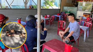 Chú chó chết thương tâm ở Đà Nẵng: Xin về nuôi nhưng lại bị bán, chủ quán đòi đập điện thoại khi có người đến giải cứu