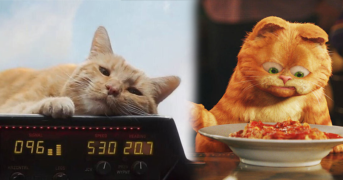 Những chú mèo bá đạo nhất màn ảnh 