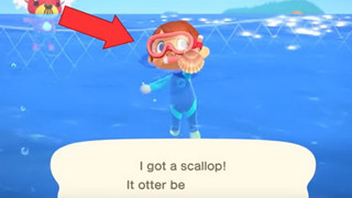 Animal Crossing New Horizons: Hướng dẫn cách lấy áo bơi Wet Suit sau cập nhật 1.3.0