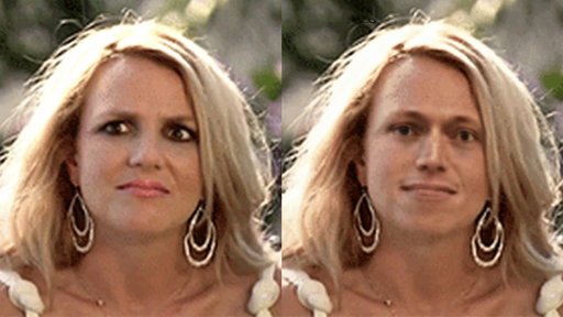 Hướng dẫn: Cách tải và thao tác trên ứng dụng ghép mặt Doublitcat 