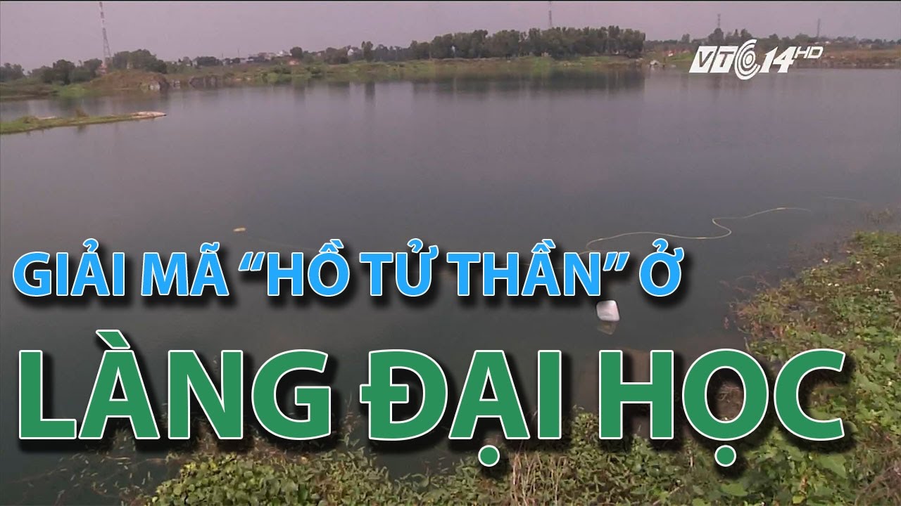 Bí ẩn truyện Ma Hồ đá Làng Đại Học - Hồ quỷ ám được bao thế hệ sinh viên kinh sợ