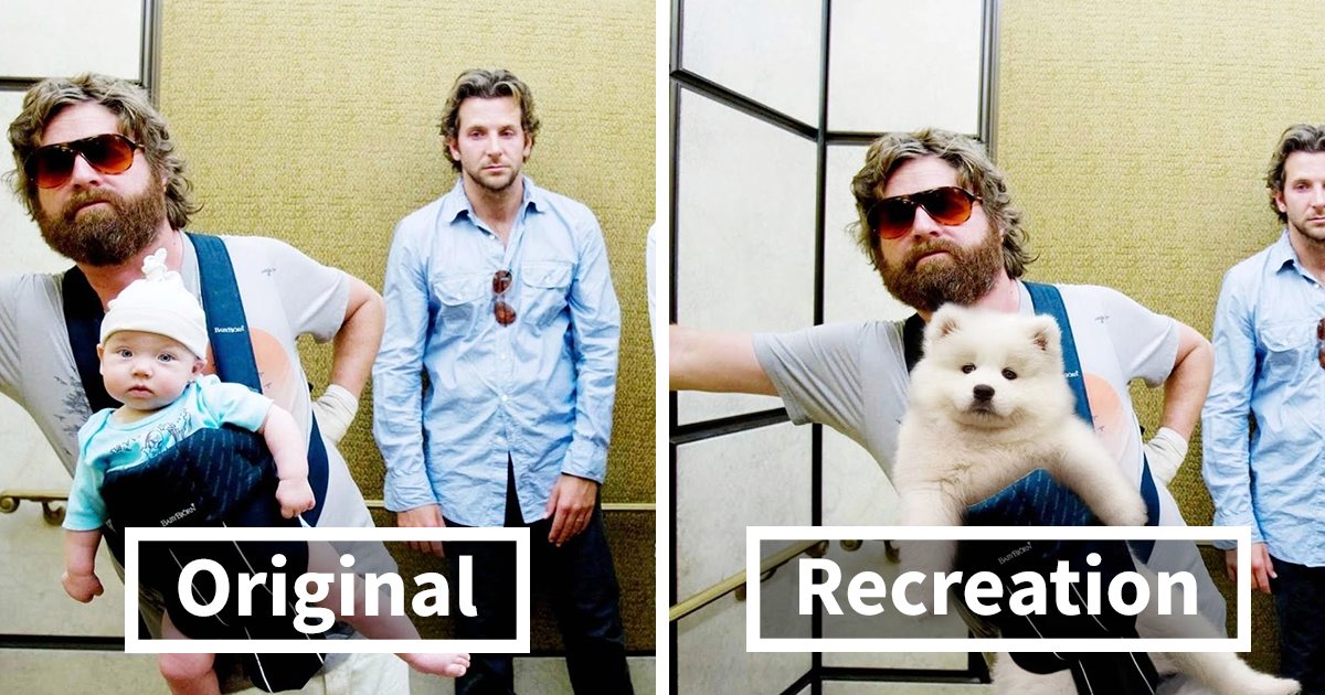 Cười bể bụng trước loạt ảnh photoshop các cảnh phim kinh điển thành chó Samoyed của thanh niên người Úc (Phần 1)