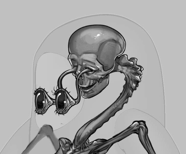 Fall Guys bất ngờ hé lộ cấu trúc nhân vật bên trong siêu dị khiến game thủ phát hoảng