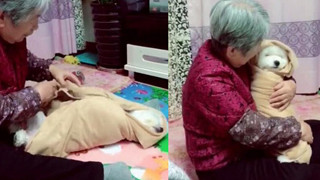 Gửi chó cưng đến cho bà ngoại chăm giúp, chàng trai khi đến thăm liền không cầm được nước mắt