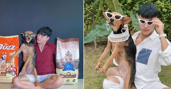 Được thanh niên say xỉn bế nhầm về nhà và nhận nuôi, chú chó hoang một bước thoát cảnh lang thang trở thành hiện tượng mạng