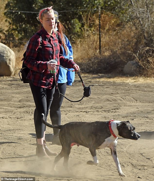 Sau tuyên bố đối đầu khán giả, Amber Heard vẫn xuất hiện tràn đầy năng lượng