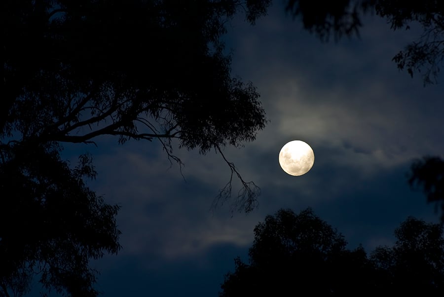 Trăng Sương giá là gì ? Nguyệt Thực nửa tối là gì ? Những hiện tượng này có gì lạ trong ngày 30 tháng 11 tới đây