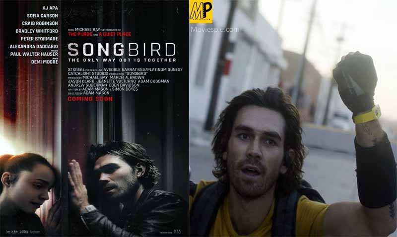 Lại thêm một bộ phim nữa về COVID-19 bị lên án dữ dội, vì sao vậy?