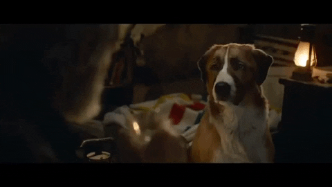 Tổng hợp những thảm họa kỹ xảo của điện ảnh Hollywood trong năm 2020 Phần 1  6