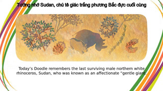 Google Doodle tưởng nhớ về Sudan - chú tê giác trắng phương Bắc đực cuối cùng