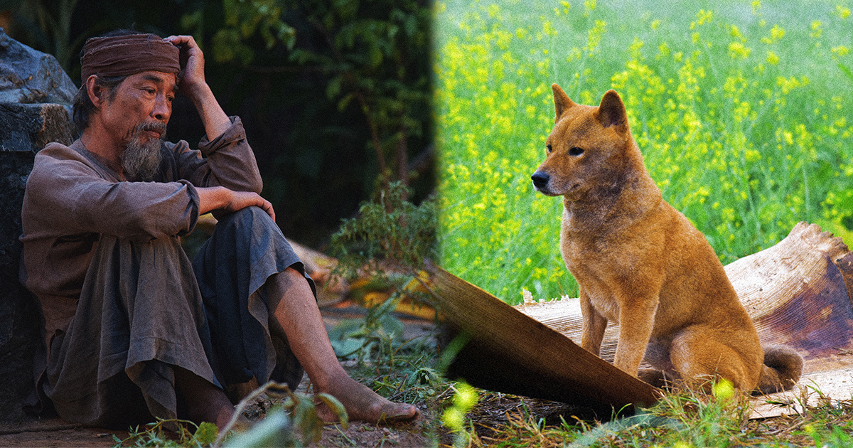 Cậu Vàng tung trailer chính thức, hứa hẹn nhiều tình tiết sáng tạo so với nguyên tác