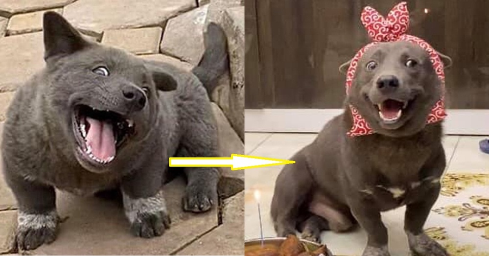 “Idol” Nguyễn Văn Dúi nay thành "đại boss" nhưng tâm hồn vẫn trẻ thơ