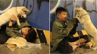 Cậu bé ôm cún cưng co ro giữa đêm giao thừa trên phố Nguyễn Huệ:”em ước có một mái nhà che nắng mưa