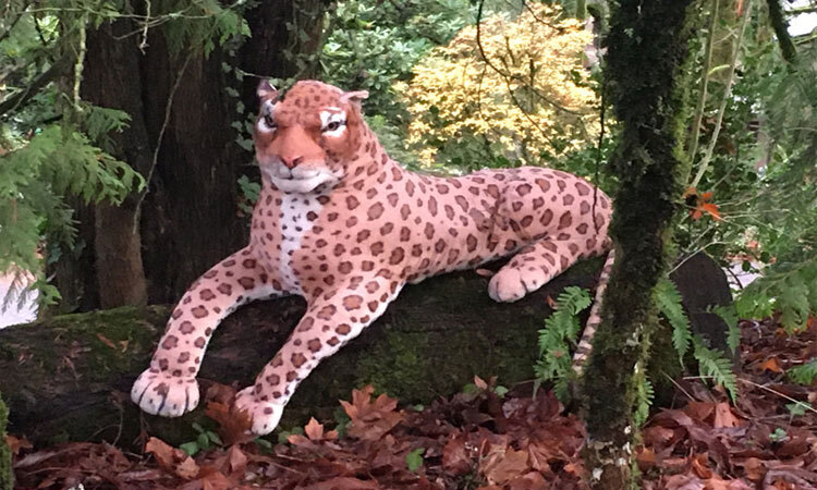 Cảnh sát Mỹ bao vây bắt báo nhồi bông