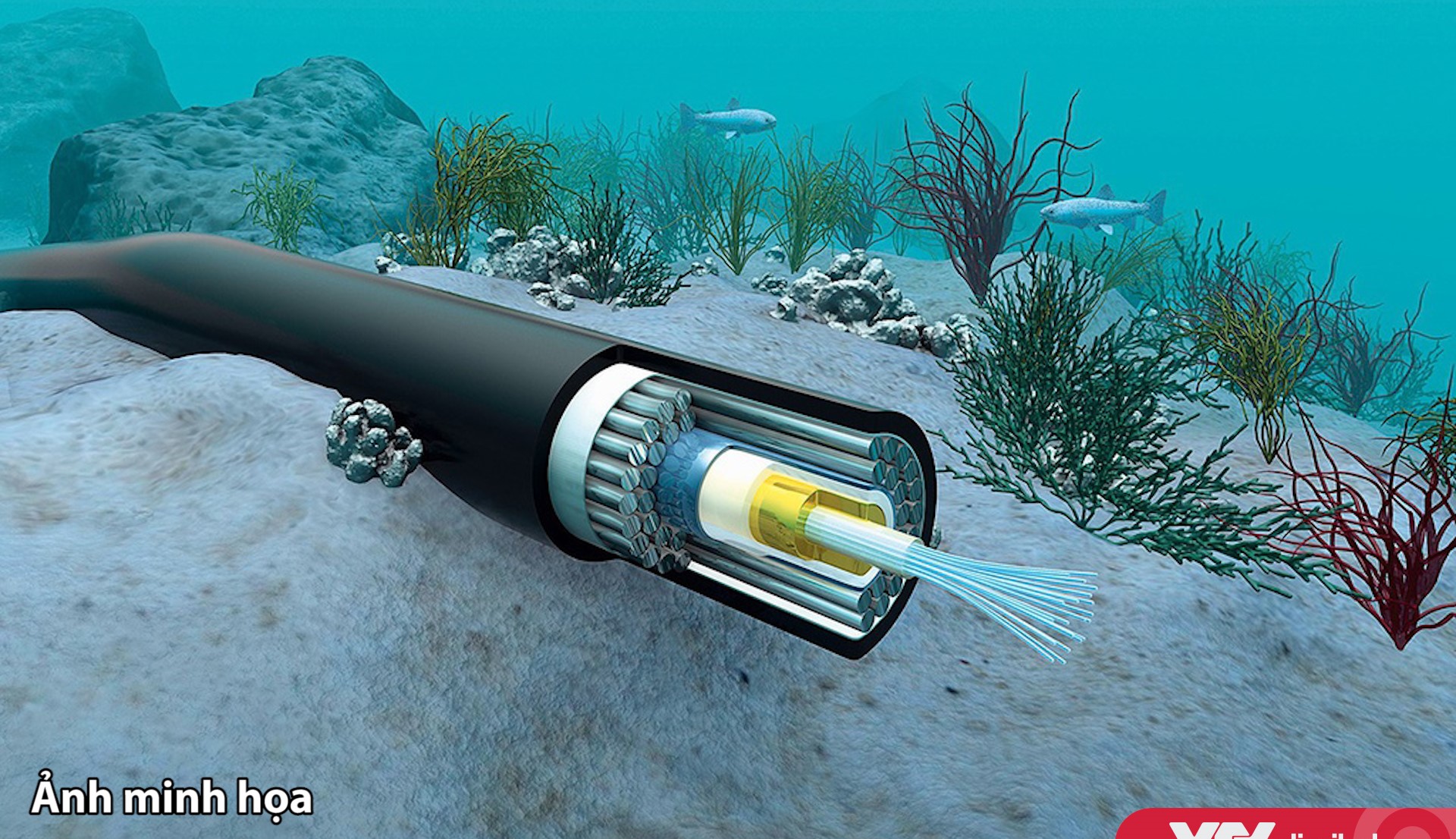 Mạng Intenet Việt Nam lại tiếp tục bị "cá mập" cắn cáp tuyến APG vào ngày 9 tháng 1 năm 2021