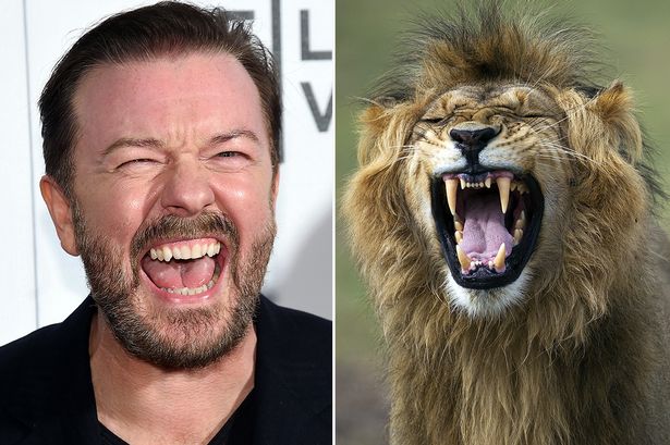 Tài tử Anh gây sốc với tuyên bố muốn được 'trở thành mồi cho sư tử' sau khi chết 