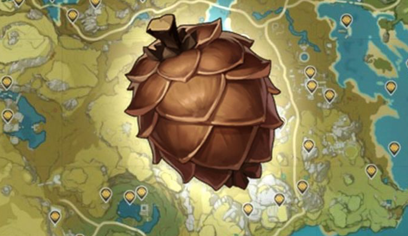 Genshin Impact: Tìm Quả thông ở địa điểm nào trong Genshin Impact? 