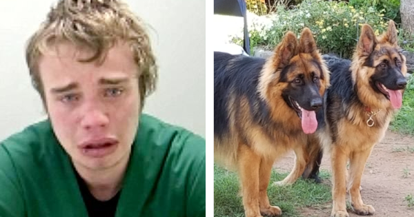 Trộm đòi kiện chủ nhà vì bị chó Bẹc giê hấp diêm khi bị mắc kẹt ngay lỗ chó trong nhà