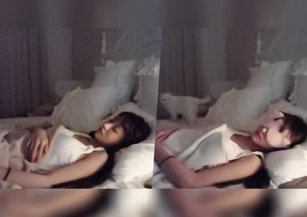 Ngủ quên trên sóng stream, cô nàng xinh đẹp thu hút sự chú ý của hàng chục nghìn người 