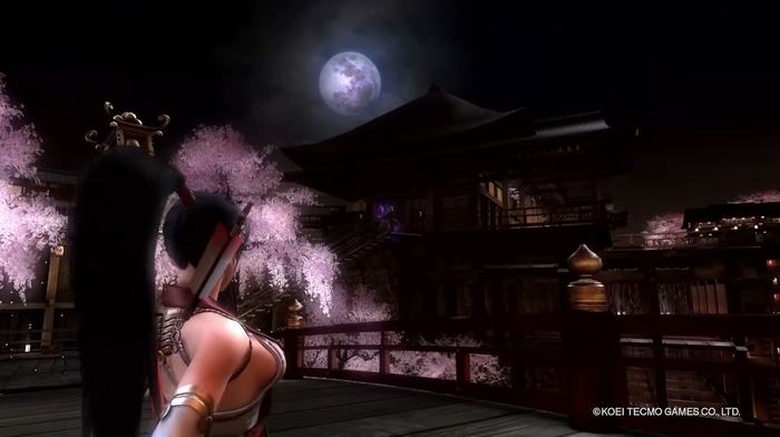 Ninja Gaiden: Master Collection giới thiệu loạt nhân vật có thể điều khiển