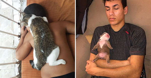 19 tấm hình thú cưng và con người ôm nhau ngủ khiến bạn cảm thấy cuộc đời thật đáng yêu