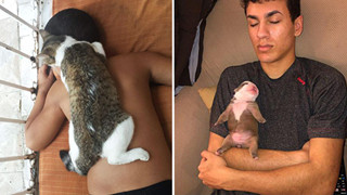 19 tấm hình thú cưng và con người ôm nhau ngủ khiến bạn cảm thấy cuộc đời thật đáng yêu