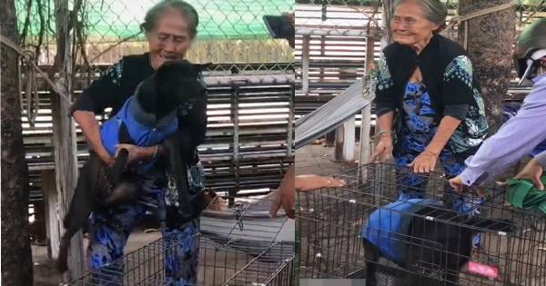 Chẳng đủ sức nuôi, cụ bà khắc khổ nấc nghẹn ôm chó cưng cho người lạ: Mếu máo chẳng nỡ rời xa