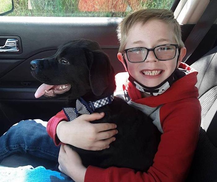 Cứu chú chó khỏi bệnh hiểm nghèo - cậu bé 8 tuổi bán bộ sưu tập thẻ bài Pokemon để trả tiền phẫu thuật cho bé