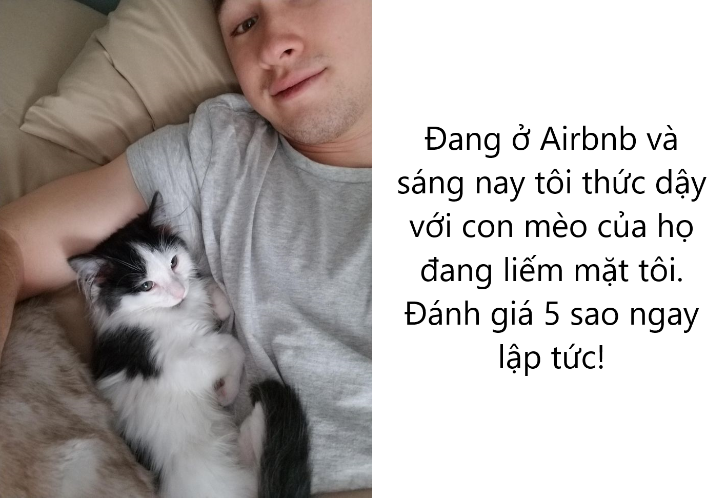 20 hình ảnh khi các hoàng thượng xuất hiện tại nơi làm việc khiến bạn thật muốn có nhân viên mèo lắm lông