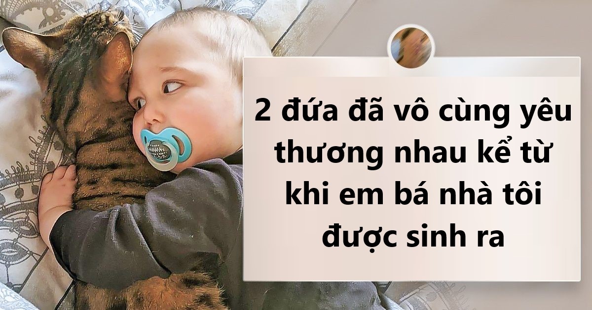 20 Bức hình cho thấy các bé cún và mèo là bạn thân tốt nhất của trẻ nhỏ
