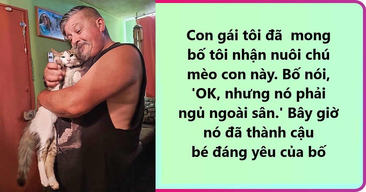 20 bậc phụ huynh tuyên bố ghét chó mèo tận xương tủy nhưng rồi cuối cùng lại cưng chúng như con guột