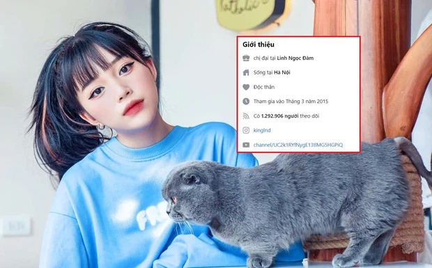 Liên tục bị report tài khoản, Linh Ngọc Đàm tuyên bố "nghỉ chơi " Facebook?