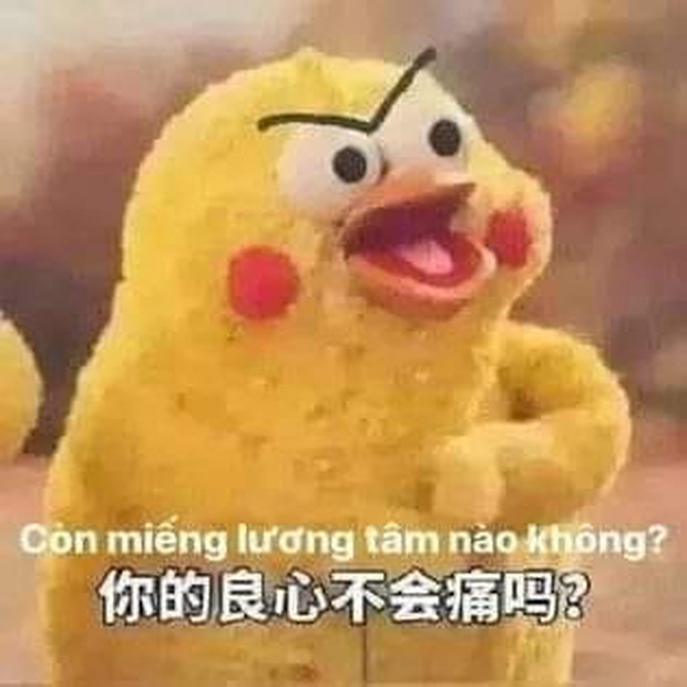 Tìm hiểu về meme "Còn chút lương tâm nào không" được Gen Z yêu thích cực kì
