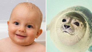 15 bức hình khi trẻ em và động vật biểu cảm giống nhau ‘y đúc’