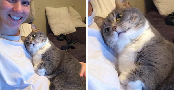 Tổng hợp hình ảnh chó mèo lo lắng khi biết tin sen lớn đang có thai khiến bạn thấy đáng yêu không cưỡng lại được