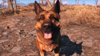 Một "linh vật" của Fallout 4 vừa qua đời khiến bao người hâm mộ tiếc thương