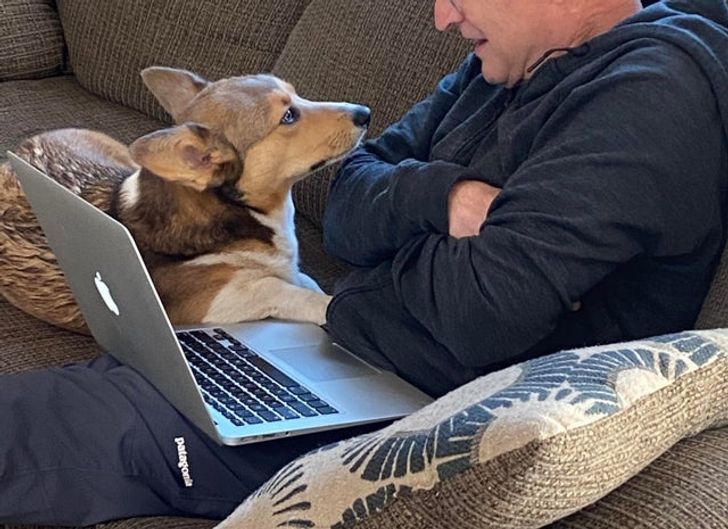 20 người đàn ông miệng lúc nào cũng nói cấm không nuôi chó mèo nhưng lại là người yêu thương chúng nhất gia đình