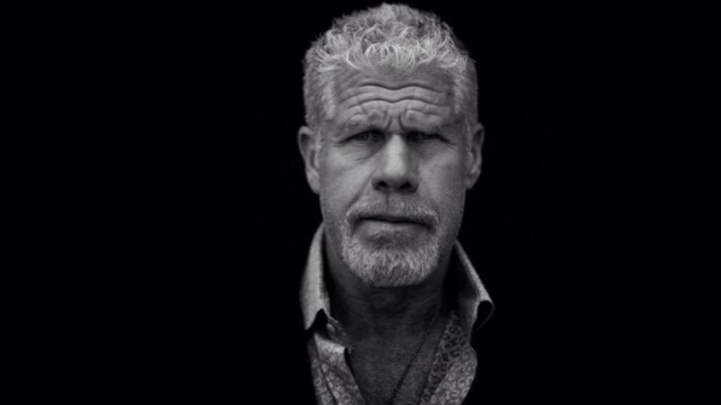 Ron Perlman được chọn là diễn viên lồng tiếng cho siêu phẩm Transformer sắp tới